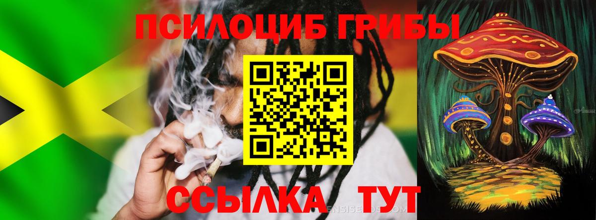 Псилоцибиновые грибы мицелий Вязники